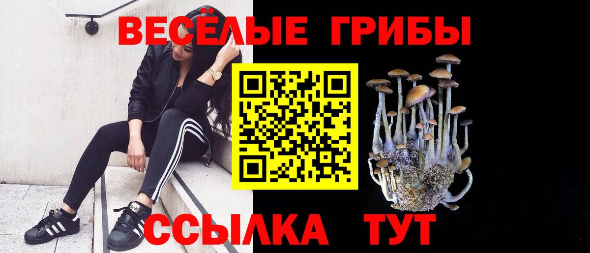 Галлюциногенные грибы Magic Shrooms  Вход с VPN  Россия 